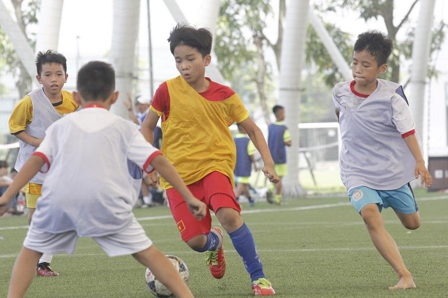 PVF tuyen sinh, tim kiem tai nang tre khoa 11 hinh anh
