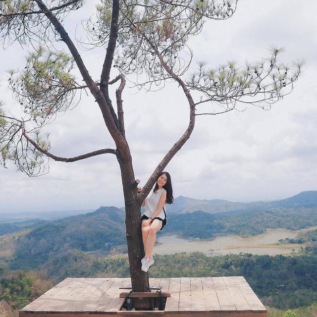 Dai su quan Indonesia anh 8