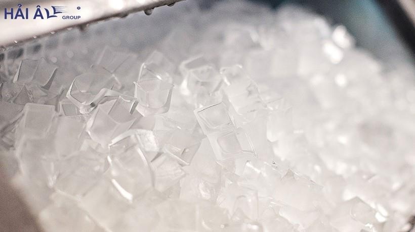 Hải Âu Group ảnh 2 Hai Au Group anh 2