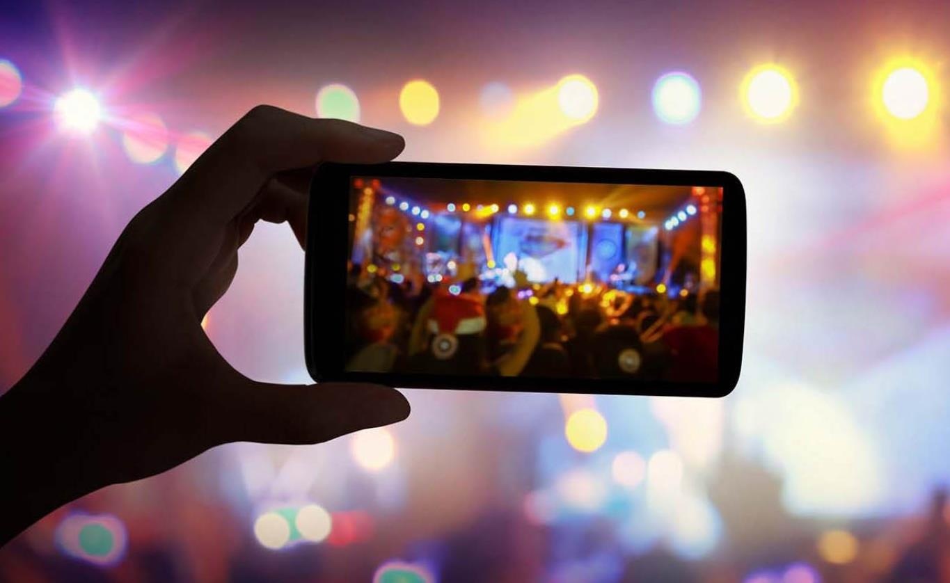 Hoa Sen ảnh 1 Hoa Sen anh 1