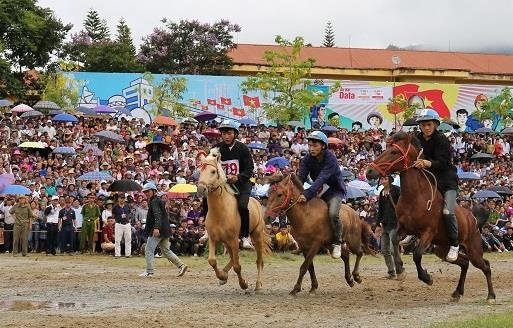 San may Fansipan, cuoi ngua Tay Bac - combo du lich dac sac tai Sa Pa hinh anh