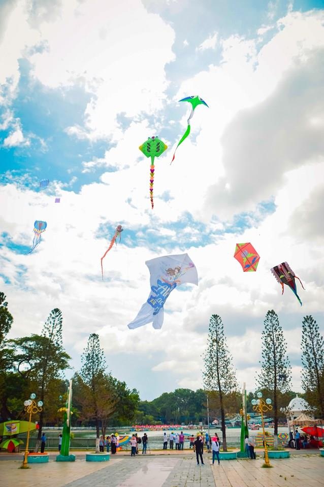 Fan Yang bieu dien tai Dam Sen anh 8