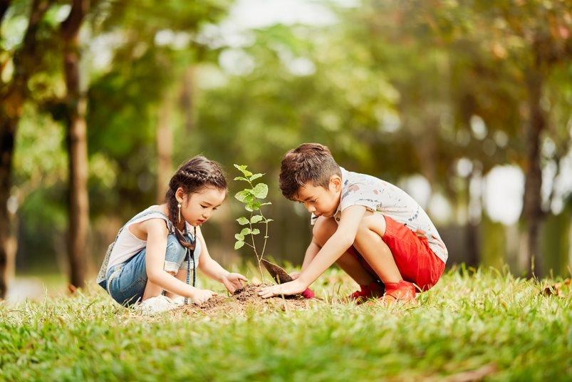 Gamuda Gardens ảnh 3 Gamuda Gardens anh 3