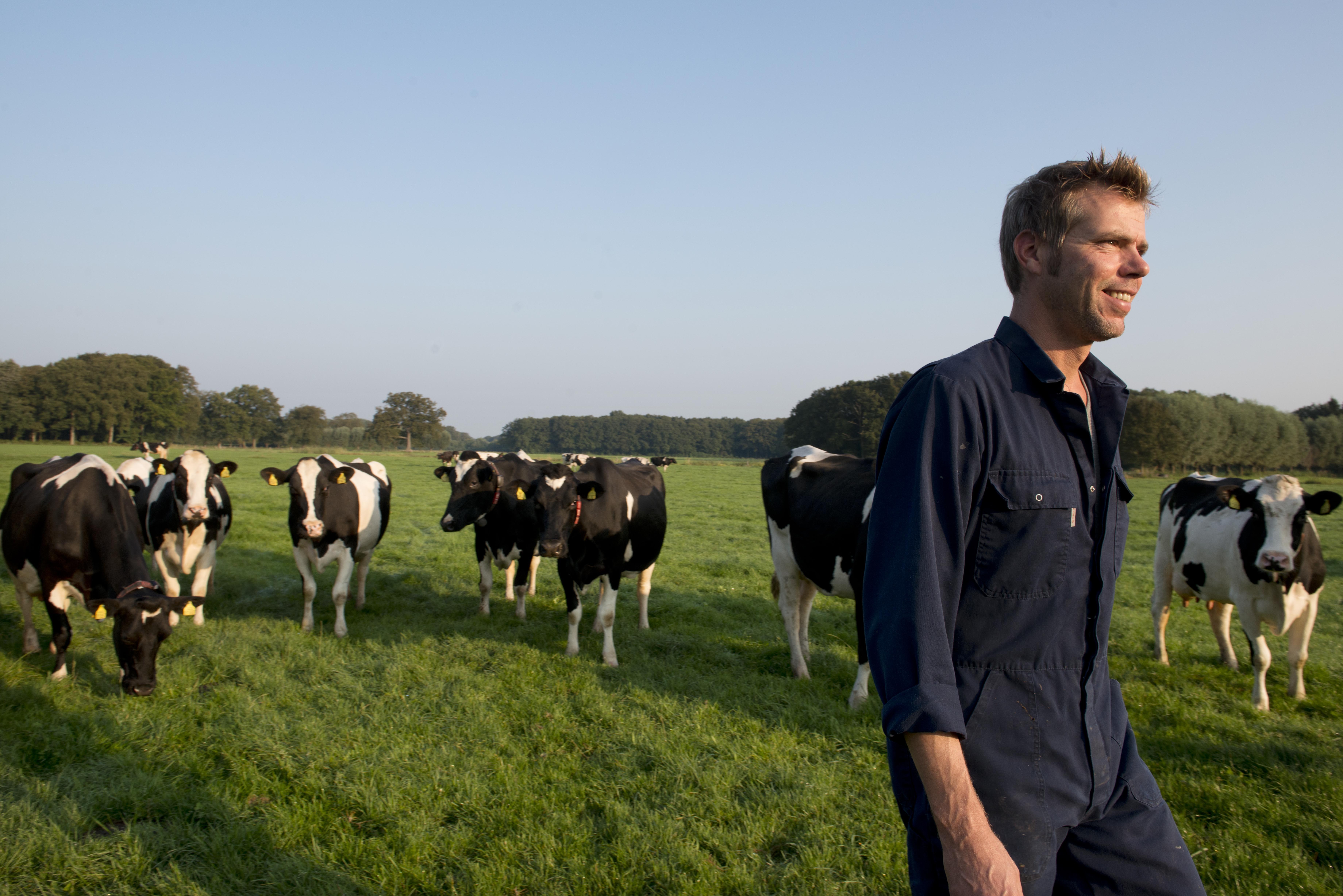 Cô Gái Hà Lan ảnh 1 Co Gai Ha Lan anh 1