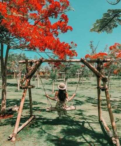 Dốc lết ảnh 3 Doc let anh 3