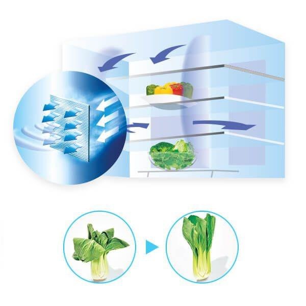 sharp ảnh 3 sharp anh 3