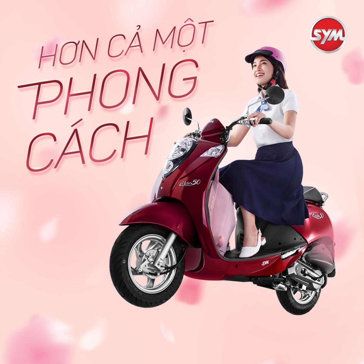SYM  ảnh 3 SYM anh 3