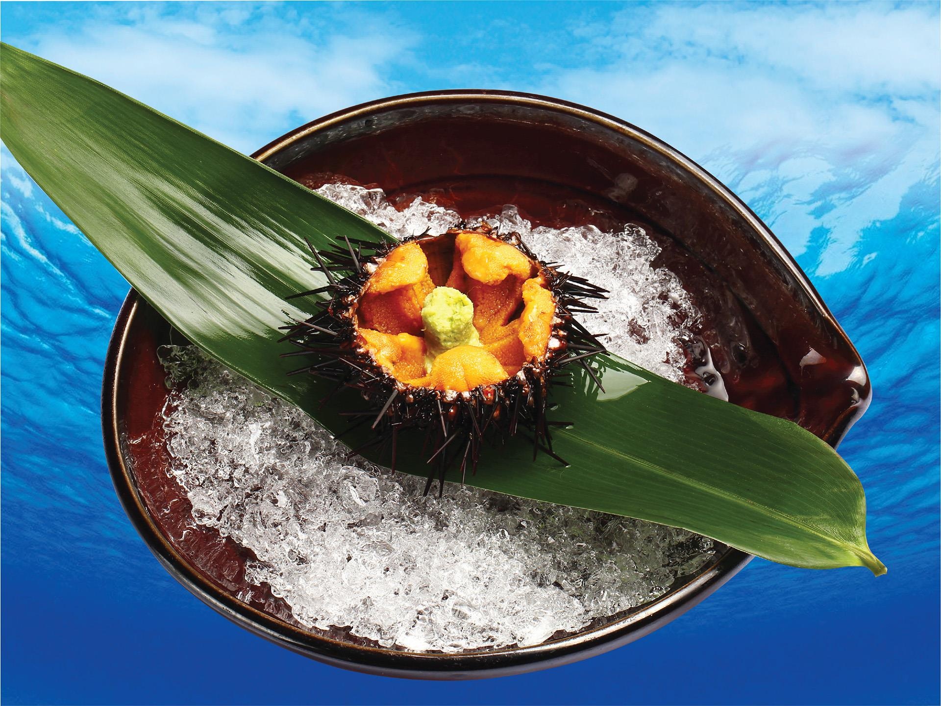 Sushi Hokkaido Sachi anh 1