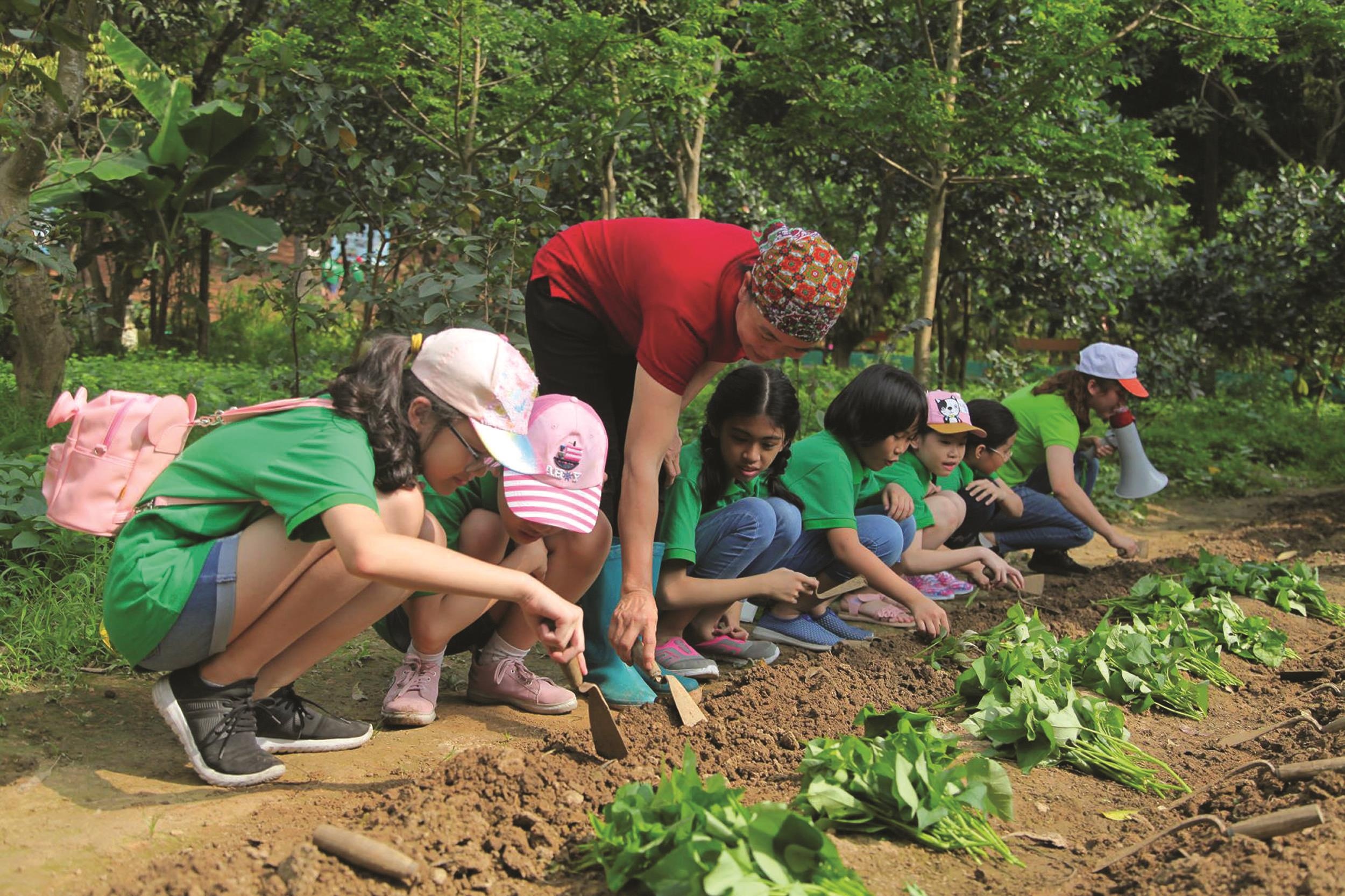 lan toa he vui anh 5