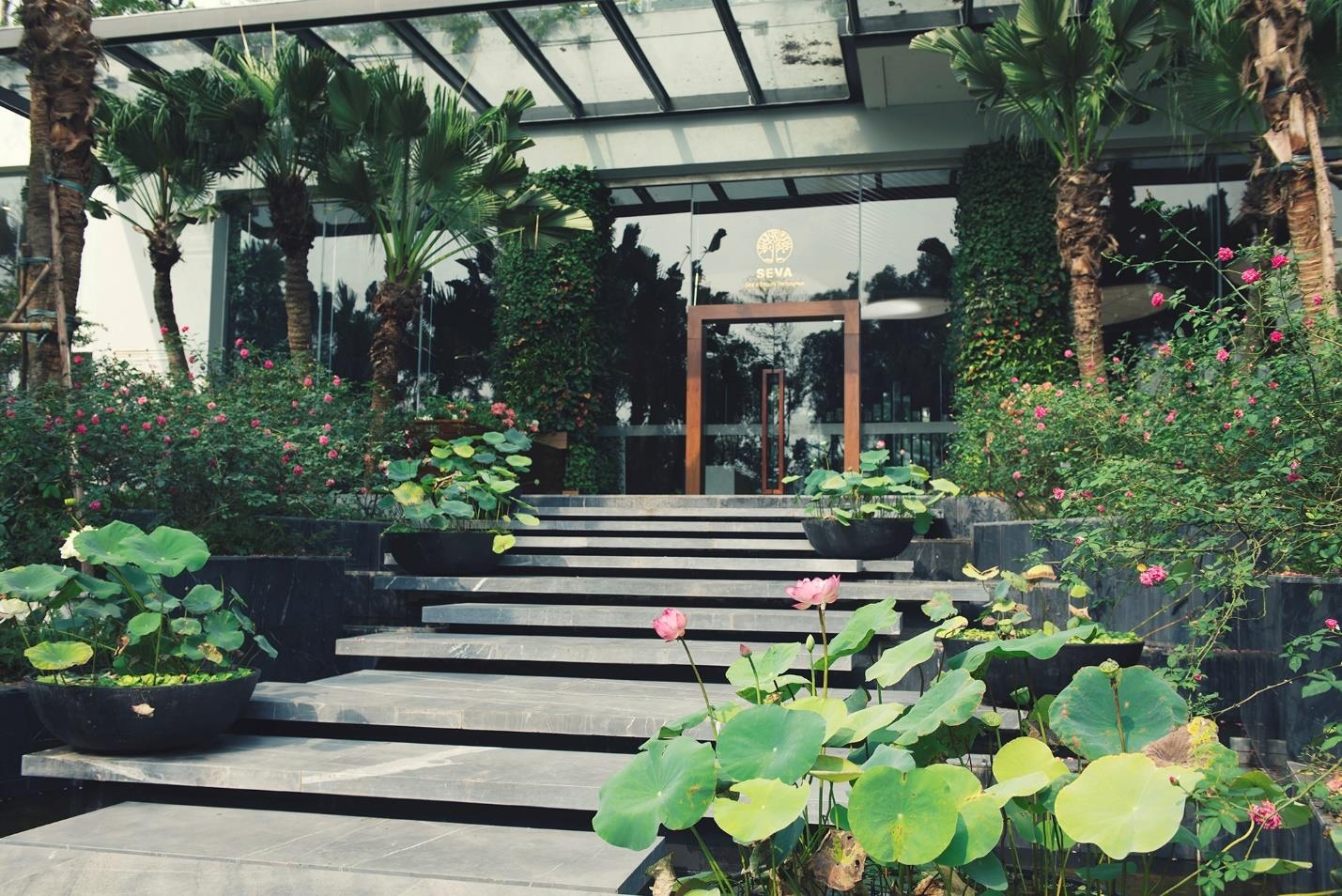 Flamingo ảnh 4 Flamingo anh 4