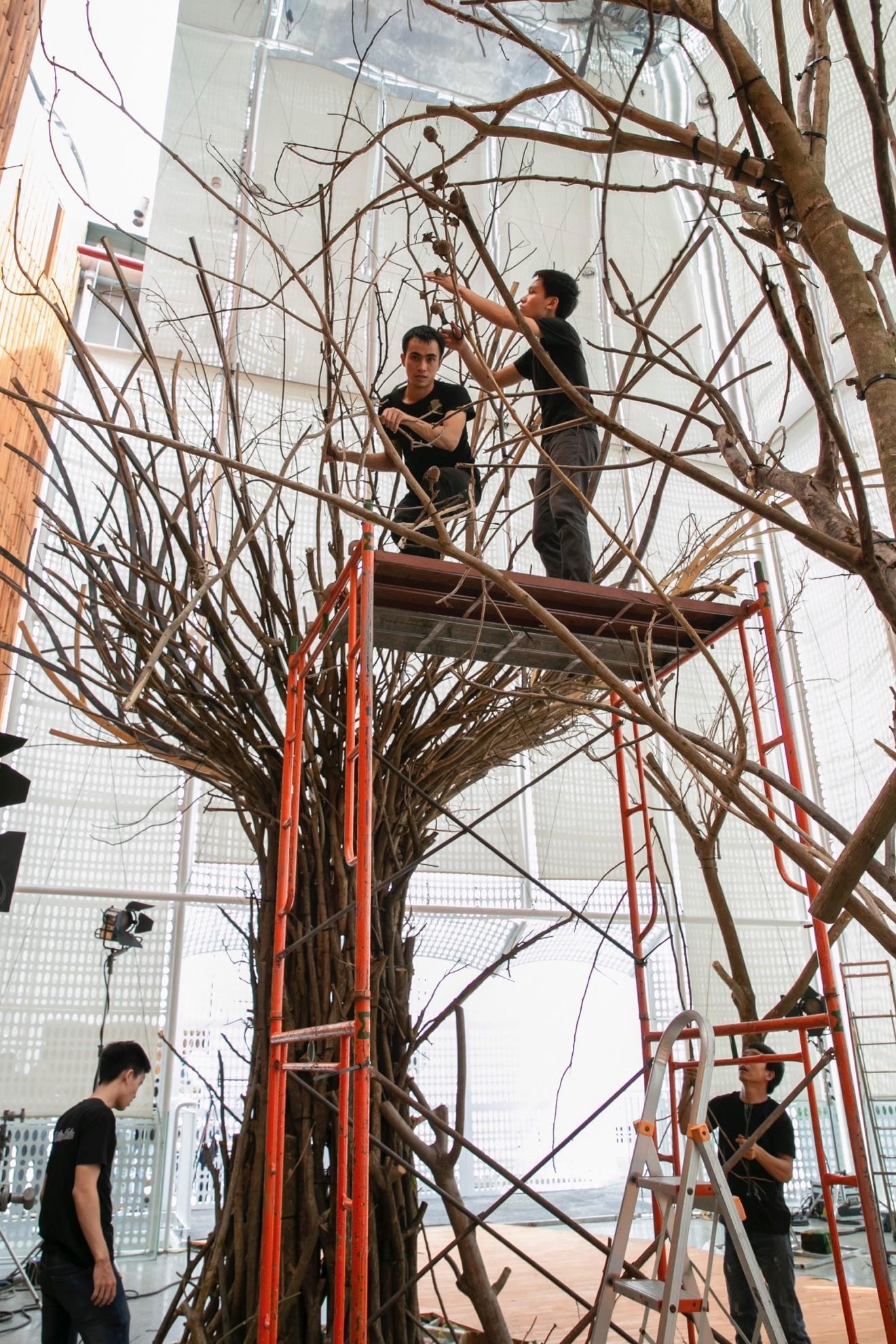 Chung Thanh Phong anh 2