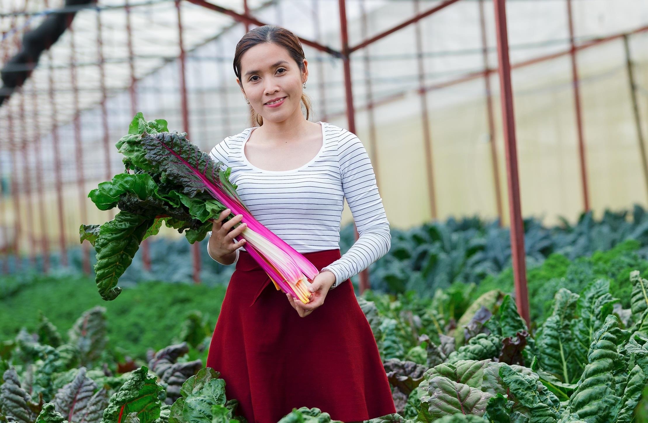 Ban co dam buoc ra khoi 'vung an toan' de theo duoi thanh cong? hinh anh