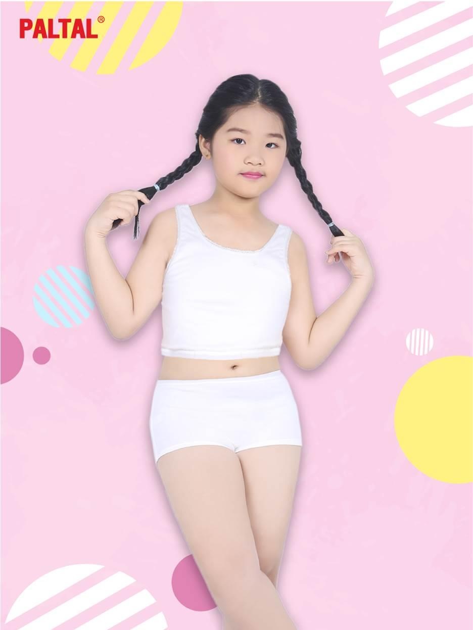 Paltal ảnh 3 Paltal anh 3