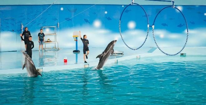 Baara Land ảnh 5 Baara Land anh 5