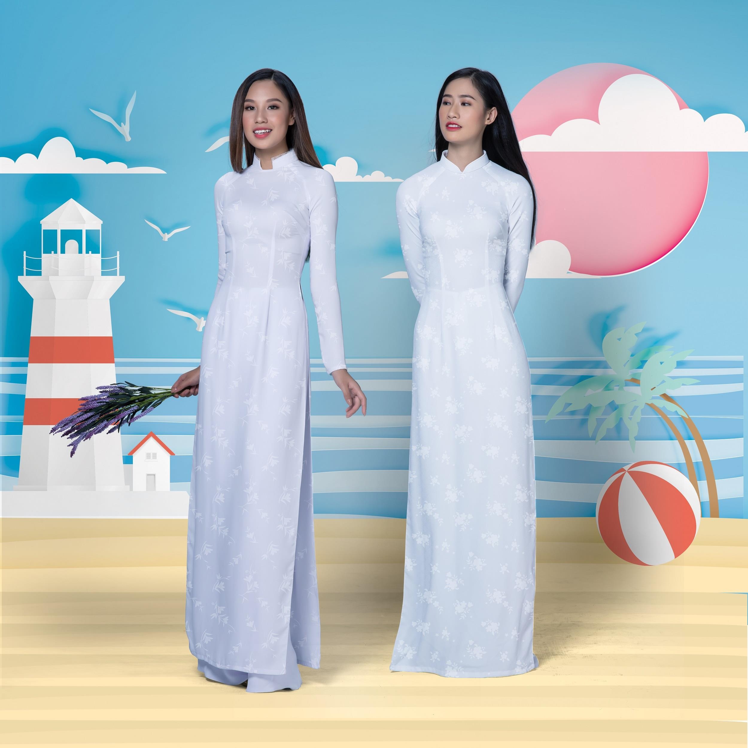 Thái Tuấn ảnh 4 Thai Tuan anh 4