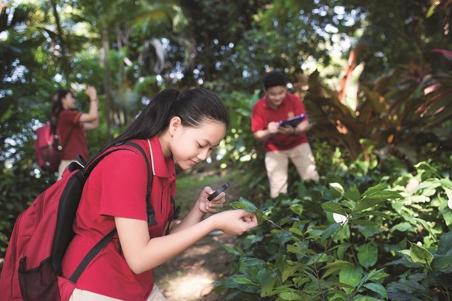 VAS ảnh 1 VAS anh 1