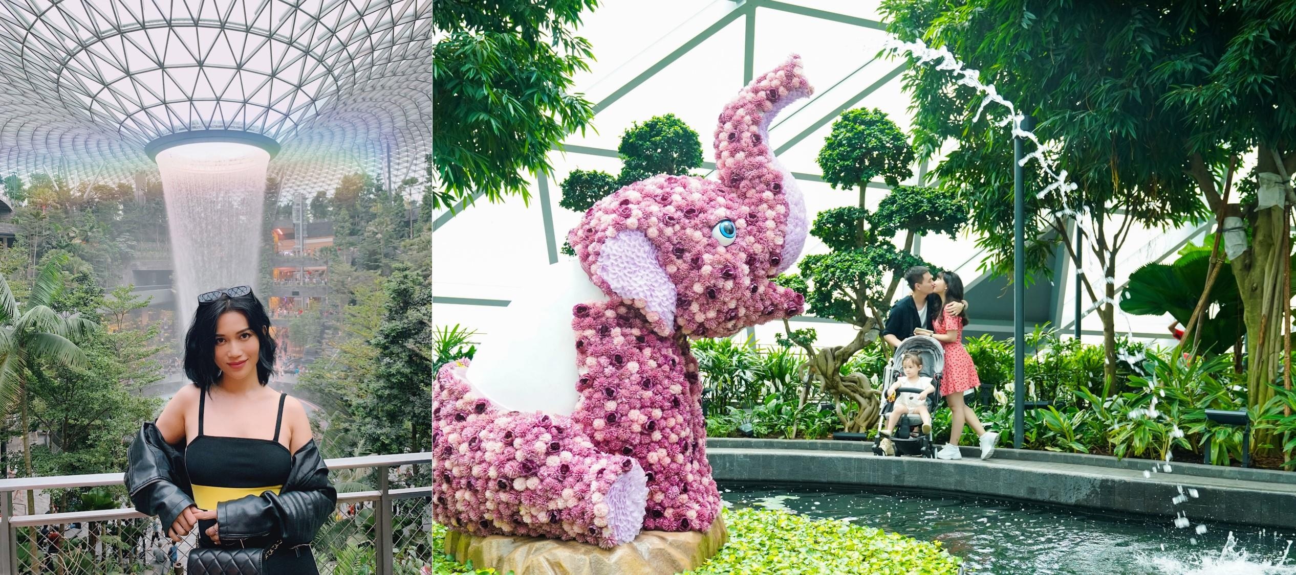 STB ảnh 7 STB anh 7