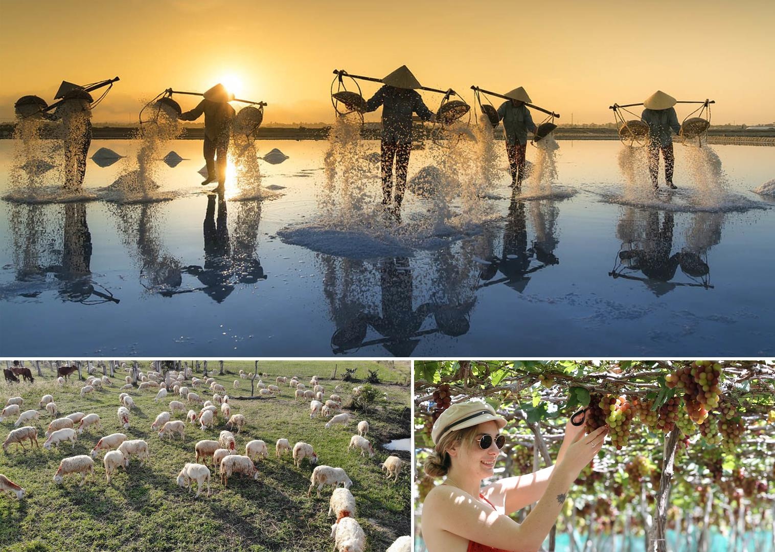 Crystal Bay ảnh 5 Crystal Bay anh 5