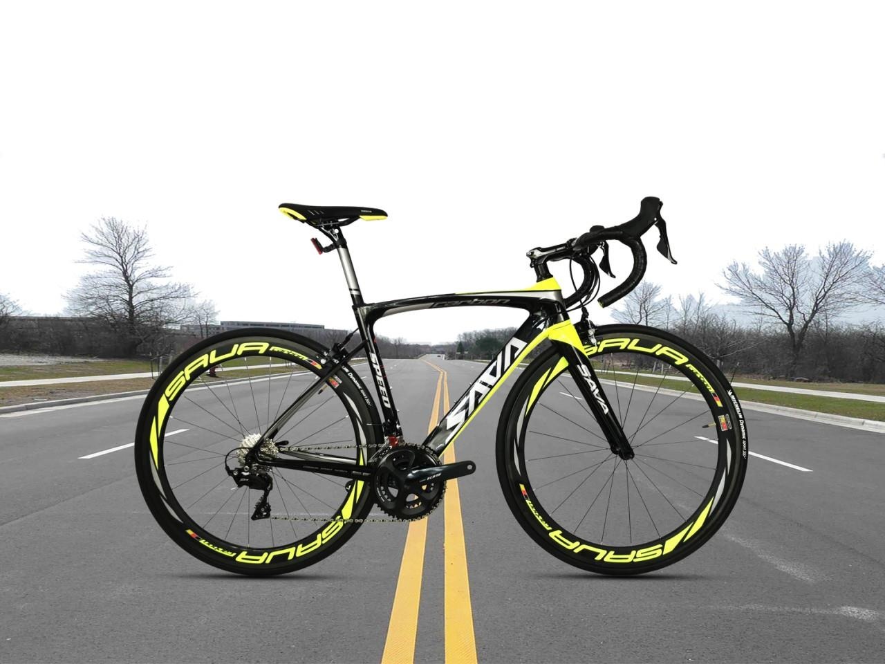 Sava Pro 6.0 - mau xe dap dua cao cap va kinh te hinh anh