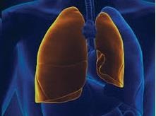 Vien Big Data vao top 5 cuoc thi phan mem chan doan benh bang X quang hinh anh