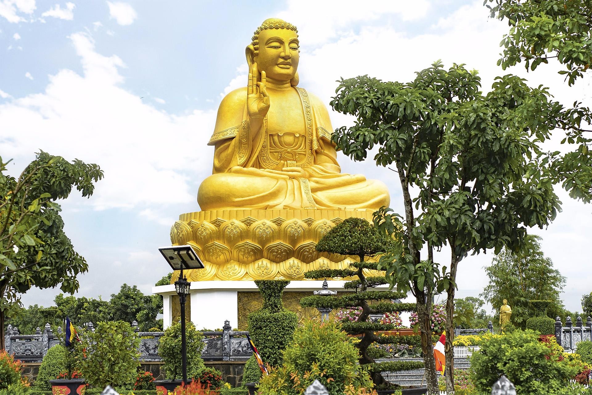 hoa viên Bình An ảnh 15 hoa vien Binh An anh 15