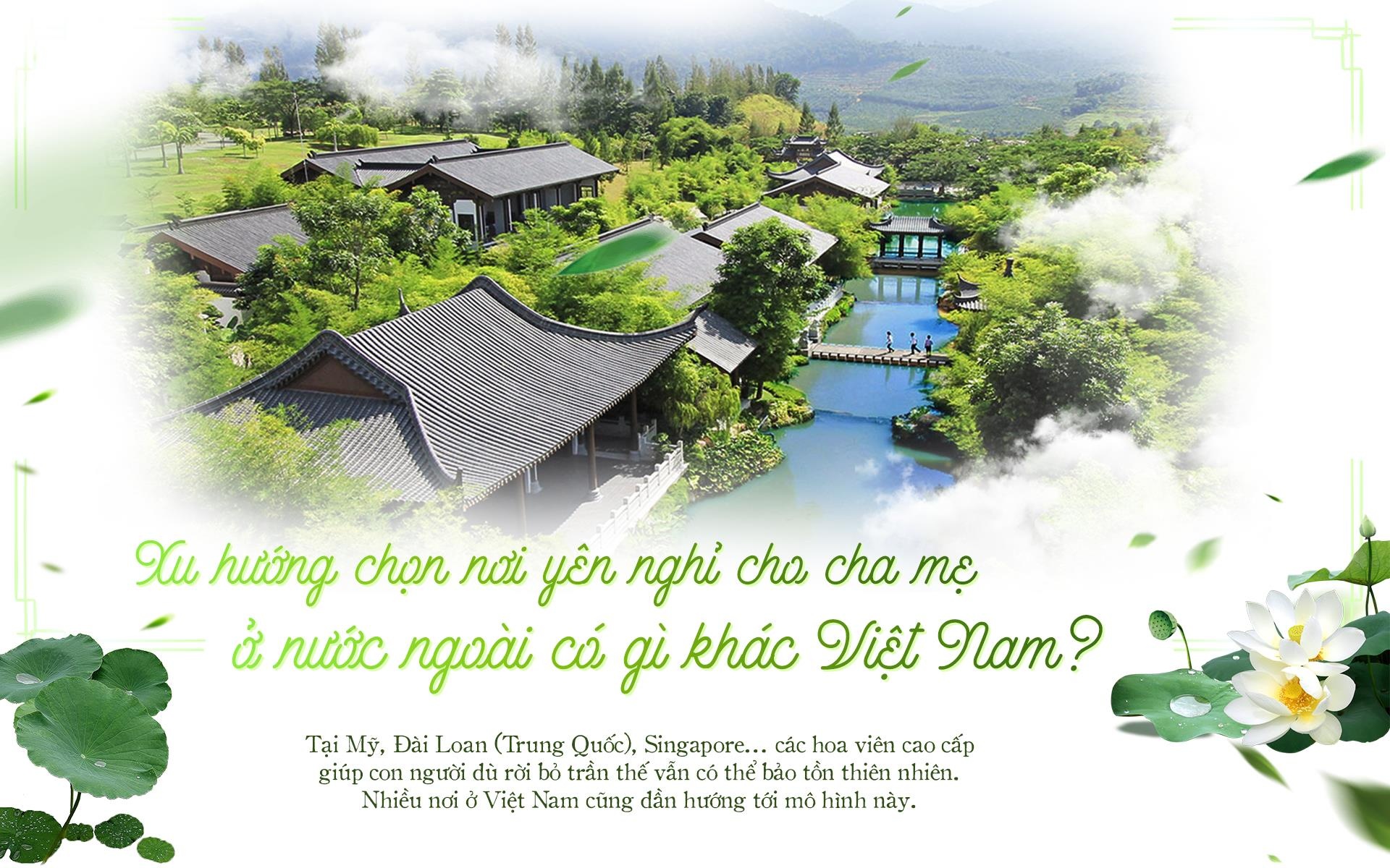 hoa viên Bình An ảnh 2 hoa vien Binh An anh 2