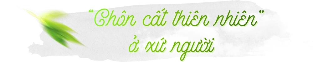 hoa viên Bình An ảnh 3 hoa vien Binh An anh 3