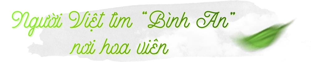 hoa viên Bình An ảnh 8 hoa vien Binh An anh 8