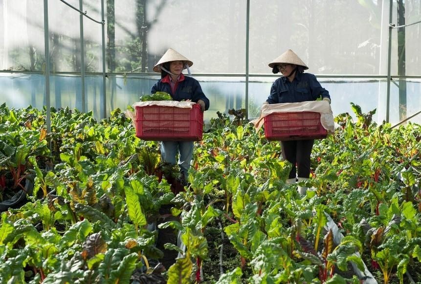 MM Mega Market anh 2