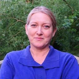 Cong ty tu van du hoc Duc Anh anh 1