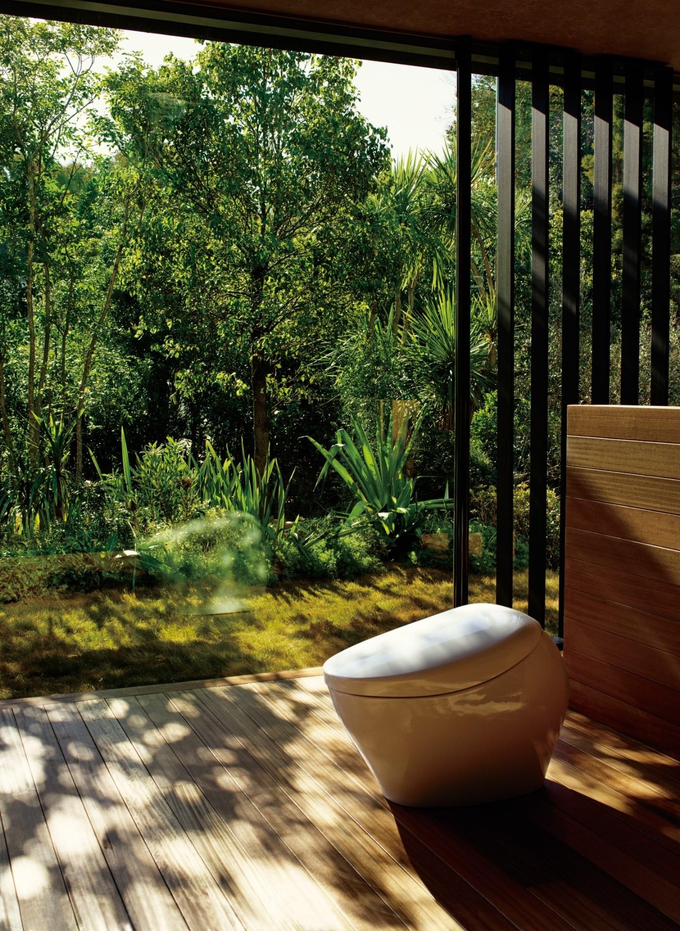 Toto ảnh 2 Toto anh 2