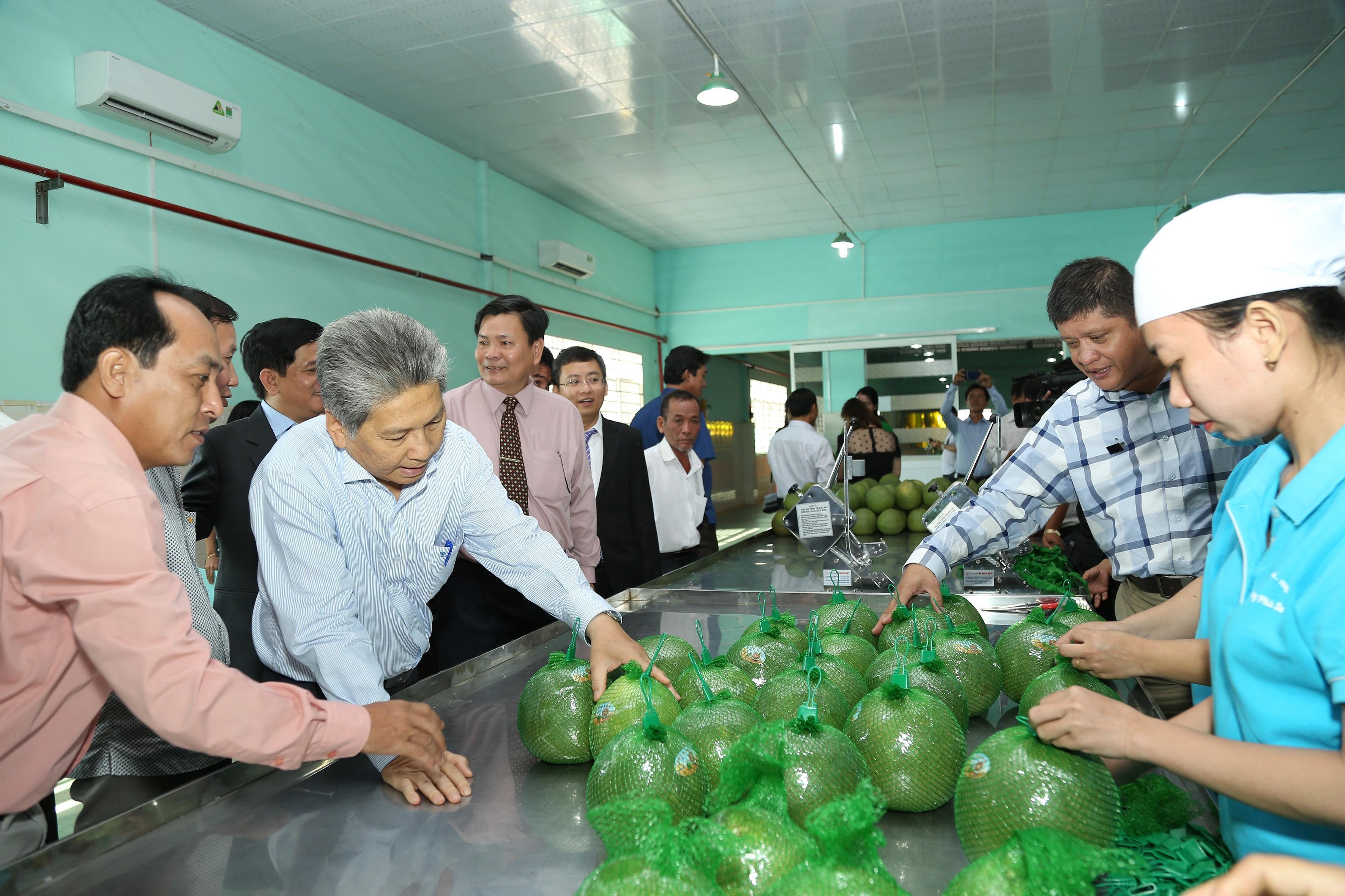 MM Mega Market ky ket day manh tieu thu hang Viet Nam hinh anh