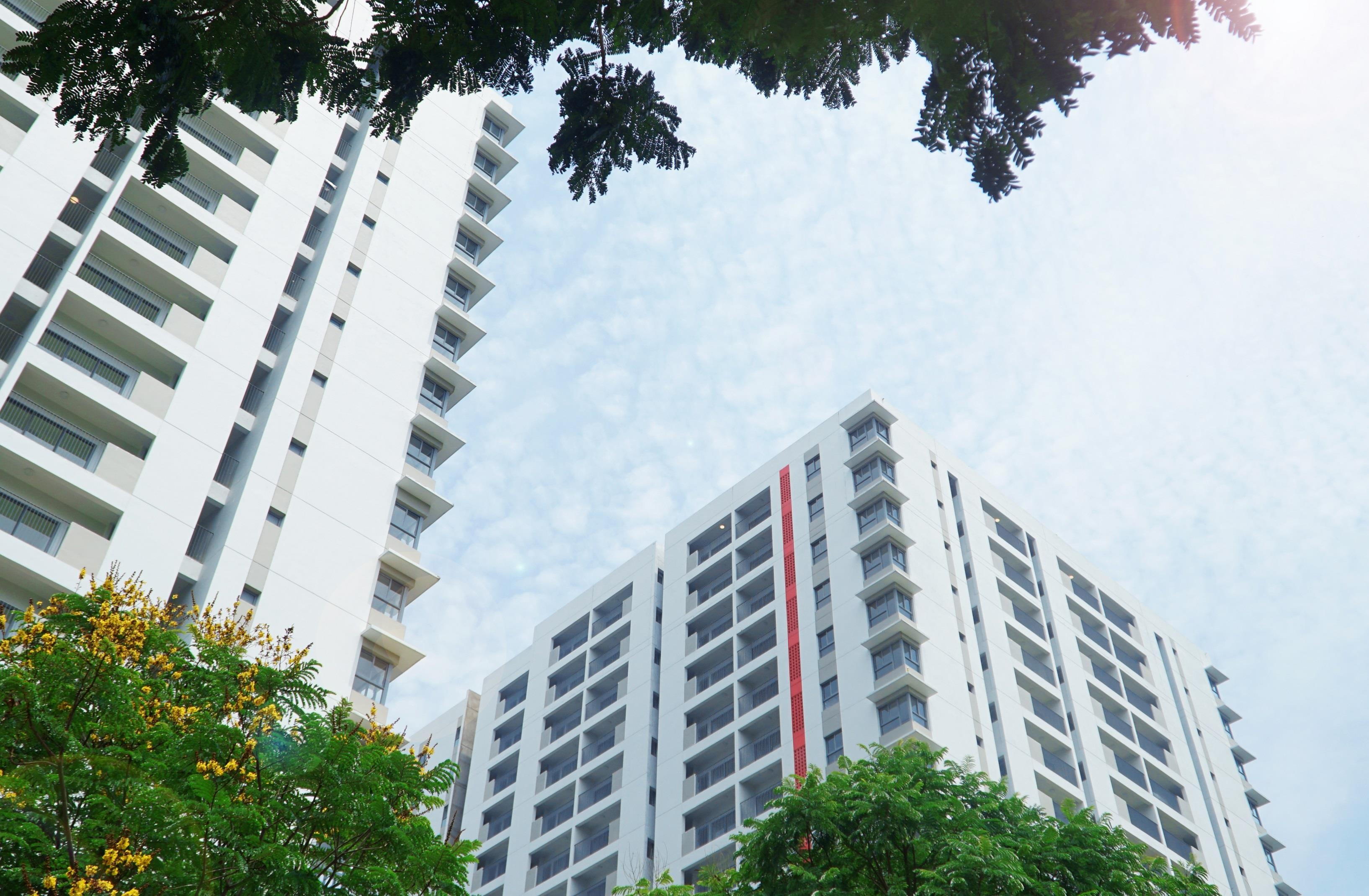 Don gian la nha anh 2