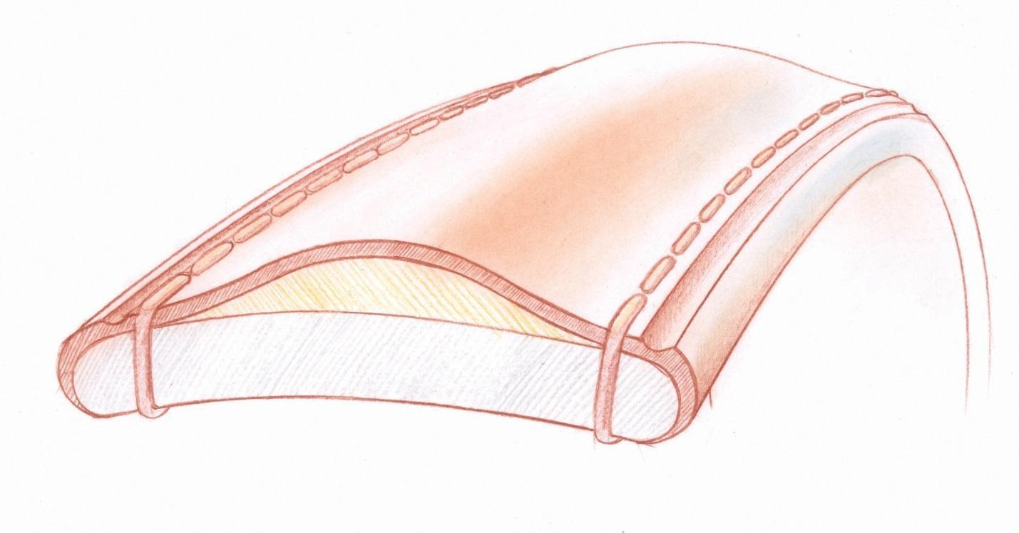 Dây da đồng hồ Hirsch chính hãng ảnh 2 Day da dong ho Hirsch chinh hang anh 2