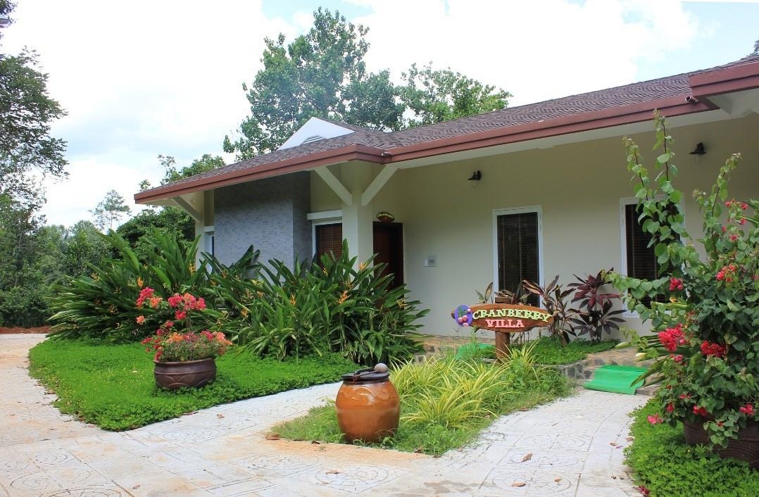 Madagui Forest City  ảnh 3 Madagui Forest City anh 3