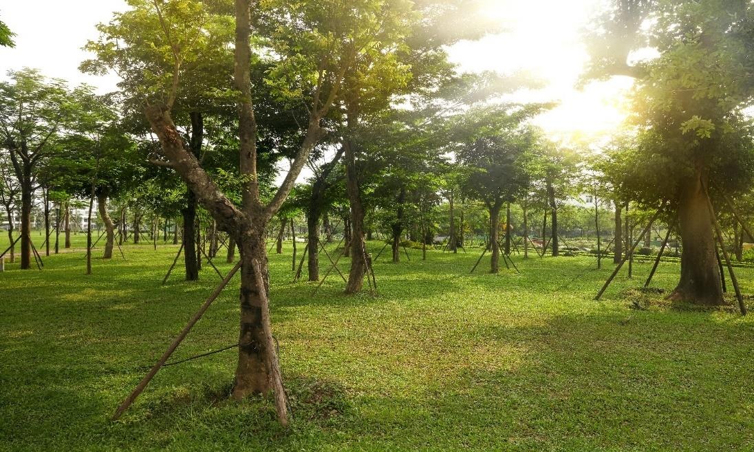 Hong Ha Eco City anh 3