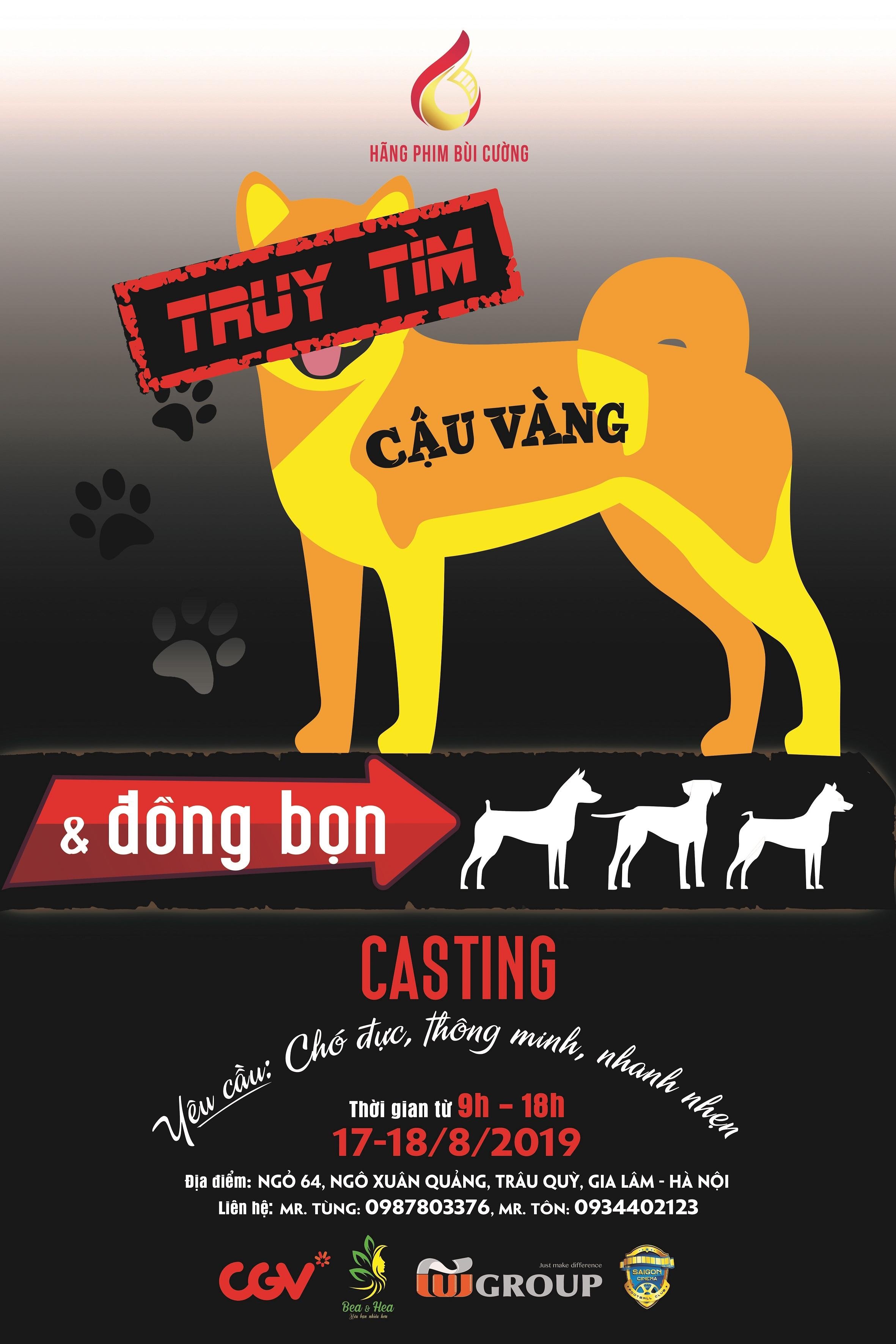 Cậu Vàng ảnh 3 Cau Vang anh 3