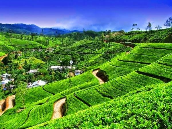 Apec Mandala Wyndham Thai Nguyen anh 1