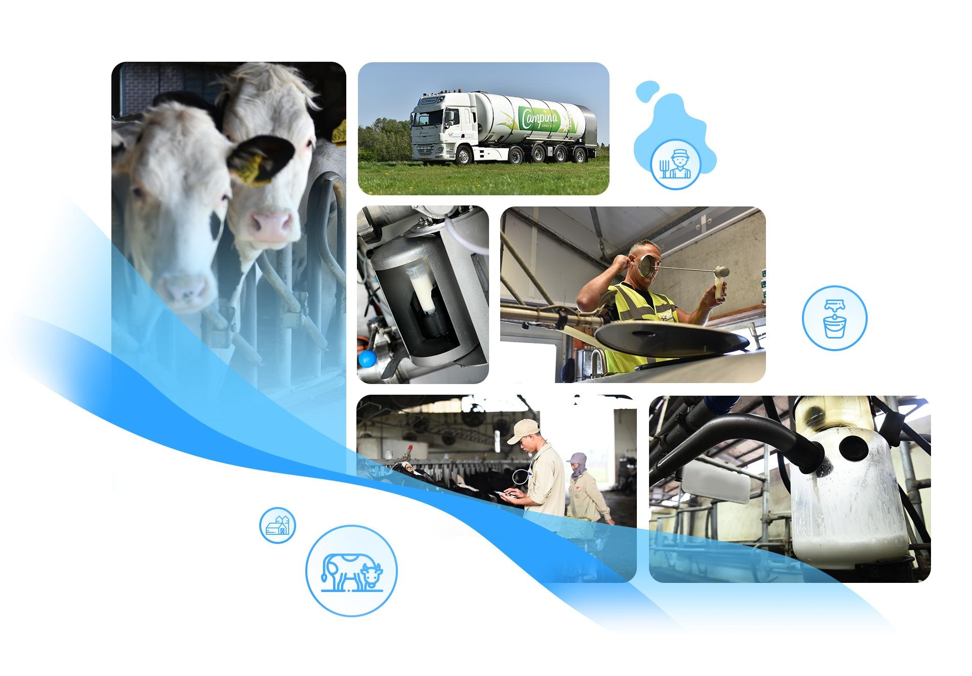 Cô Gái Hà Lan ảnh 7 Co Gai Ha Lan anh 7