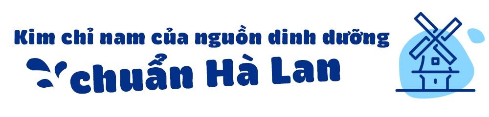 Cô Gái Hà Lan ảnh 3 Co Gai Ha Lan anh 3