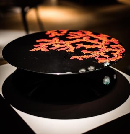 Hanoia ảnh 1 Hanoia anh 1