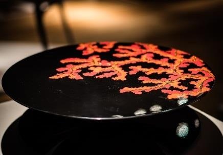 Tac pham 'Ranh gioi' cua Hanoia duoc bao chi quoc te khen ngoi hinh anh