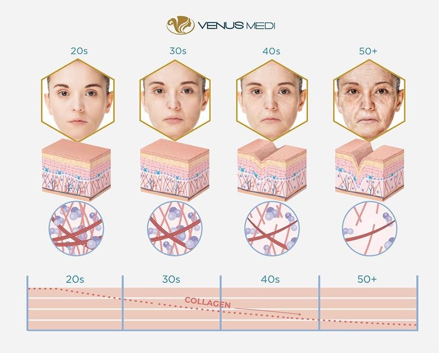 Vien tham my Venus Medi anh 1