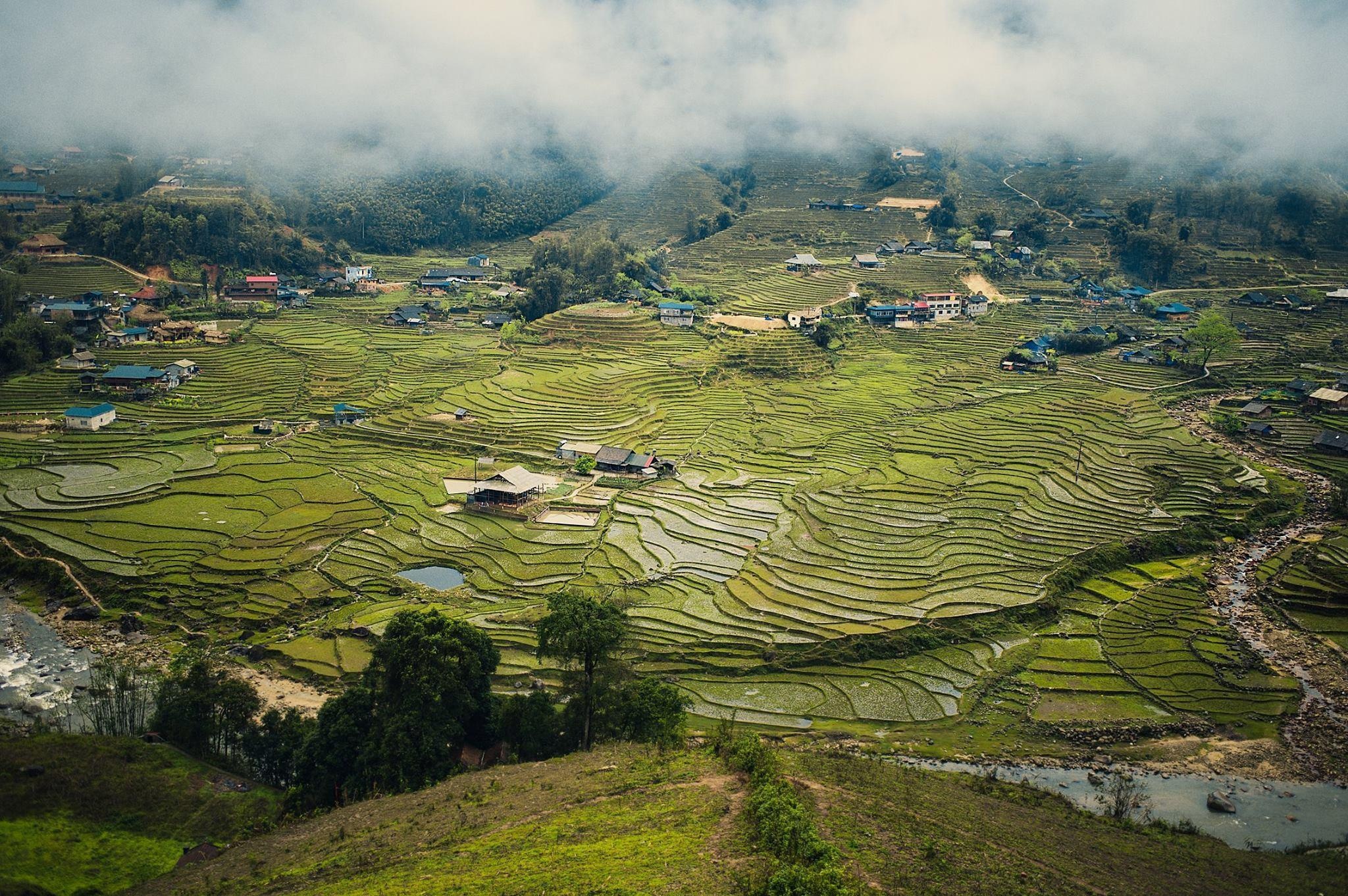 Sun Group ảnh 7 Sun Group anh 7