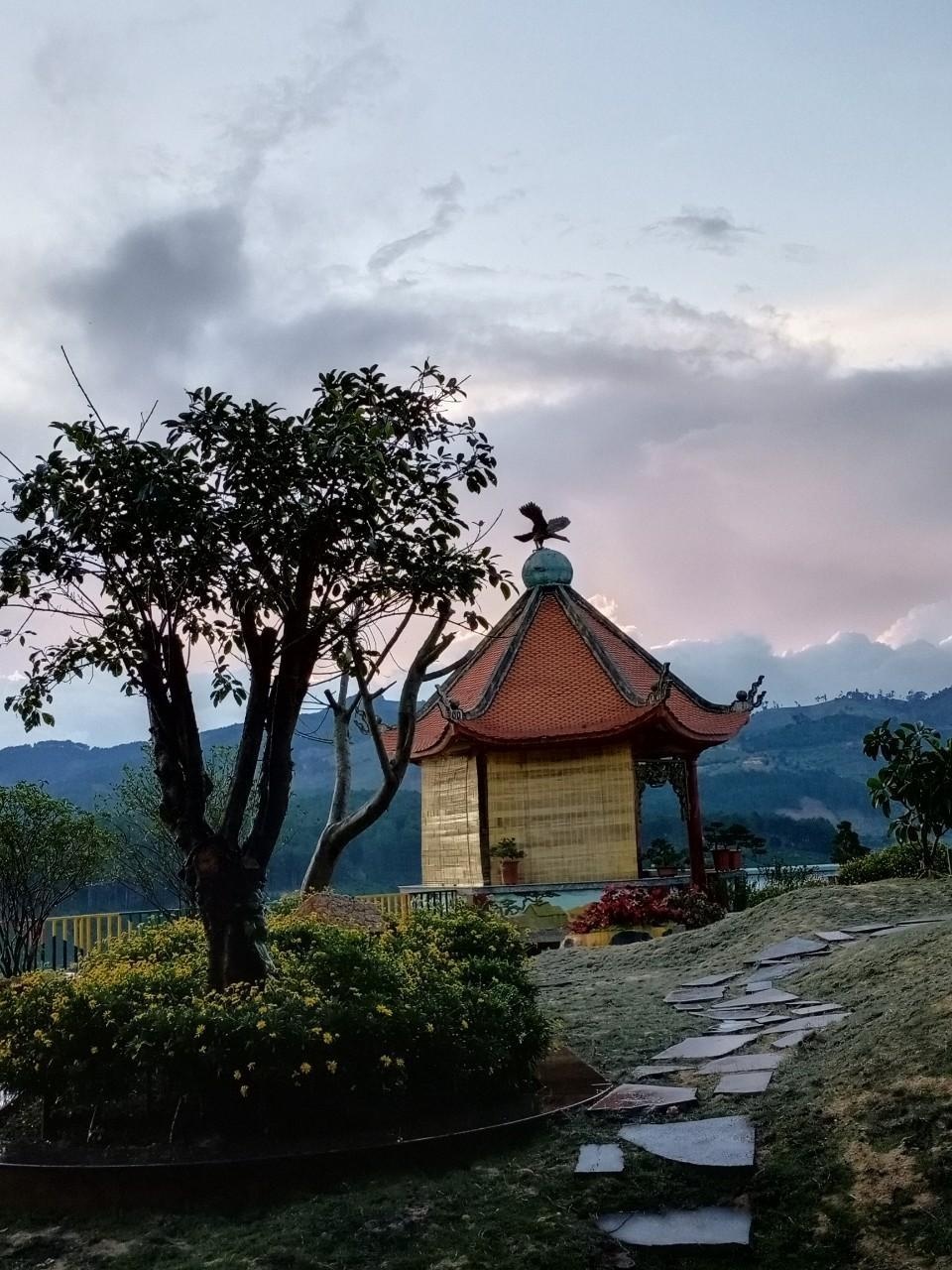 Amazing Dalat Media anh 2