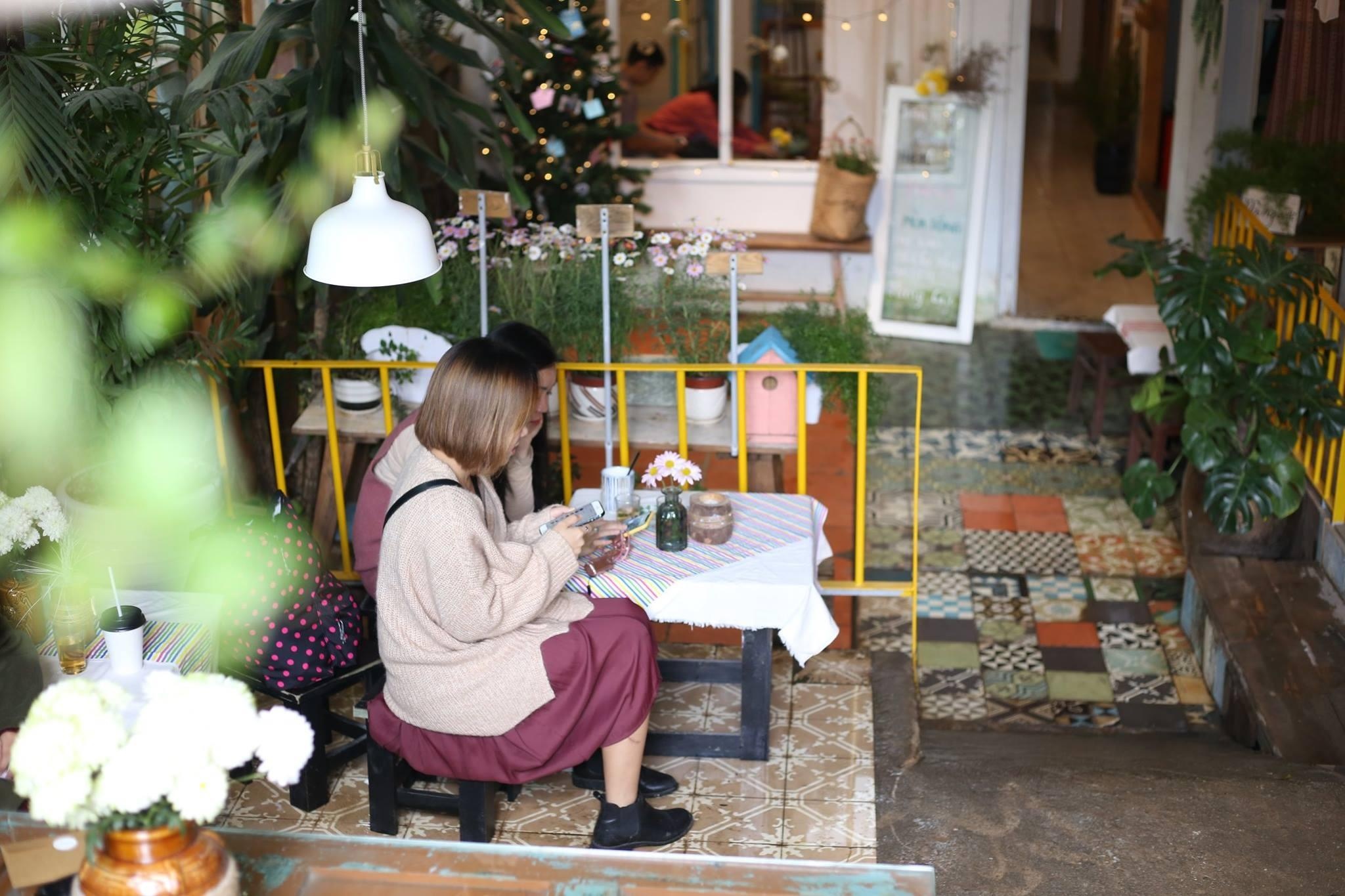 Amazing Dalat Media anh 5