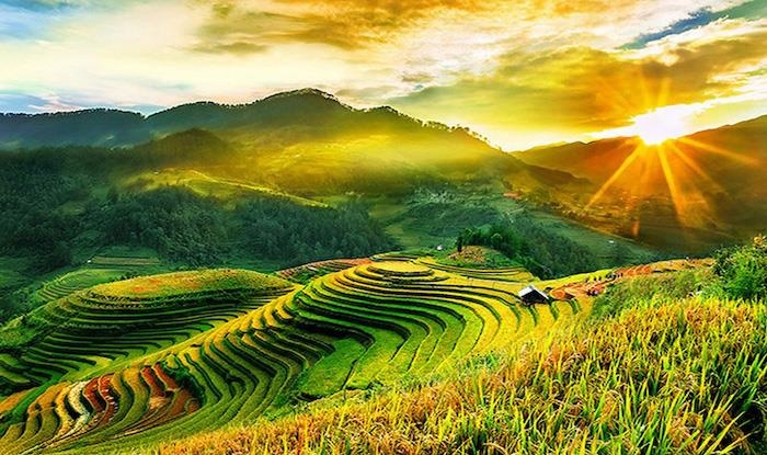 Du khach yeu thien nhien dung bo lo sac vang ruc ro cua mua thu Sa Pa hinh anh