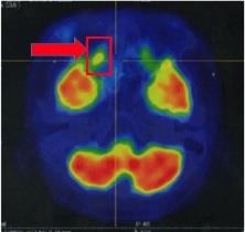 Vinmec ảnh 3 Vinmec anh 3