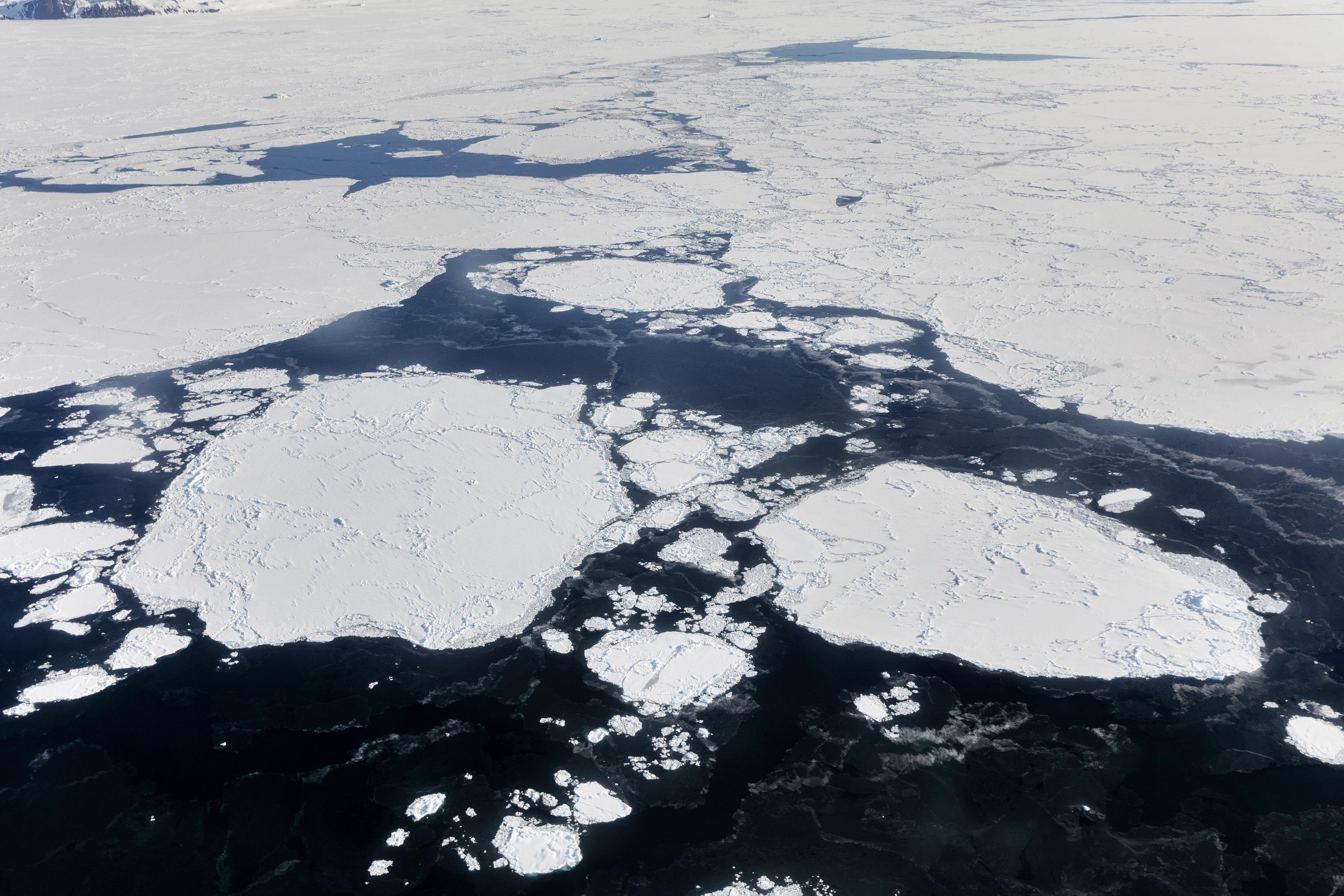 Andris2 Top Wi-Fi, Slim2 Lux Wi-Fi ảnh 1 Andris2 Top Wi-Fi, Slim2 Lux Wi-Fi anh 1