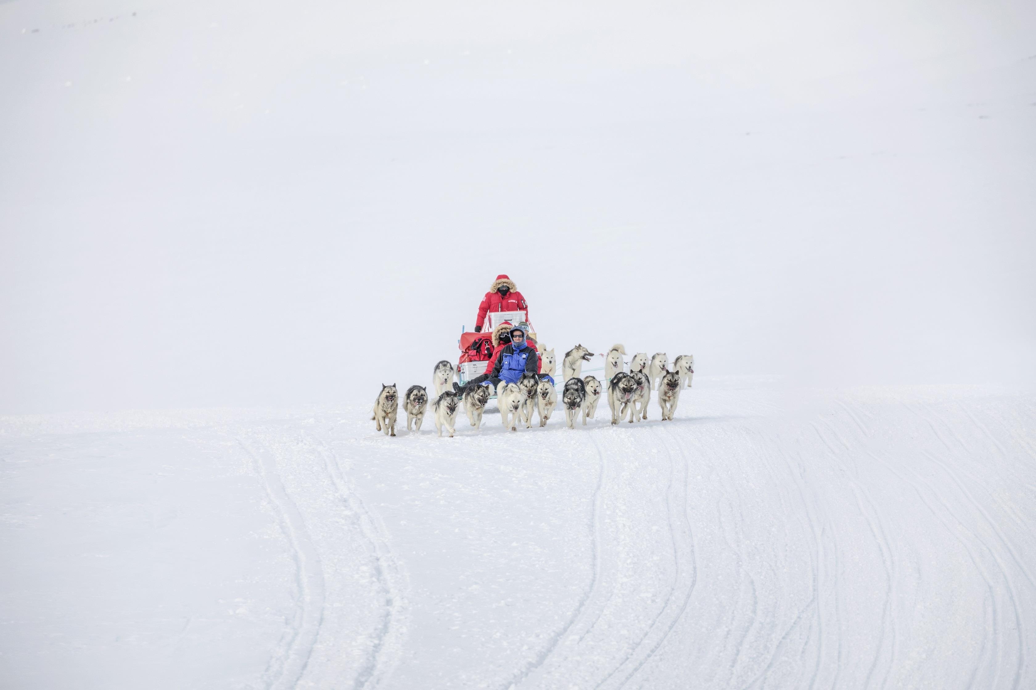 Andris2 Top Wi-Fi, Slim2 Lux Wi-Fi ảnh 3 Andris2 Top Wi-Fi, Slim2 Lux Wi-Fi anh 3